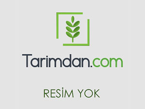 Nevhallan 5556 2011 model 3300 saatte garaj traktörü 