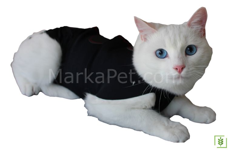 Win Pet Ameliyat Sonrası Kedi Köpek Elbisesi XS 42*34 cm