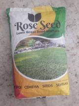rose seed çim tohumu